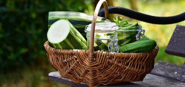 Zucchini einlegen