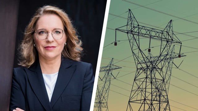 Claudia Kemfert warnt: Das ist die größte Gefahr für unser Stromnetz