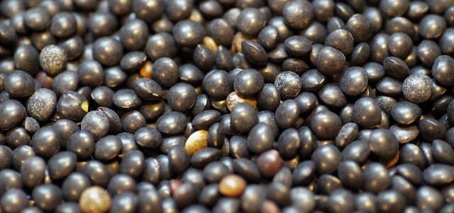 beluga linsen kochen