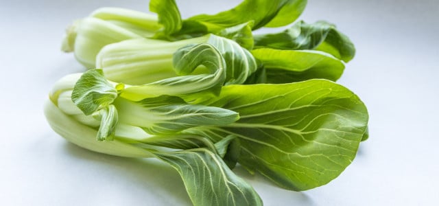 pak choi roh essen