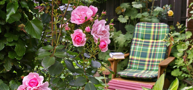 pflegeleichter garten