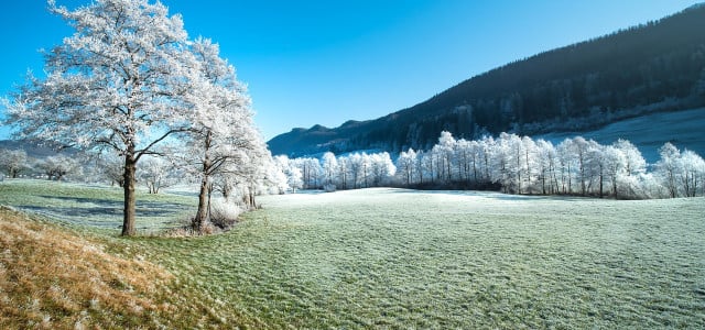 Milder Winter