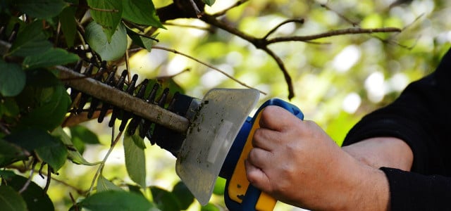 Grünschnitt entsorgen: So wirfst du Gartenabfälle richtig weg