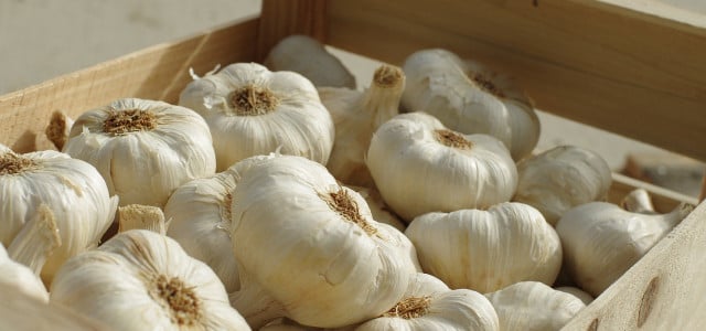 Knoblauch aufbewahren